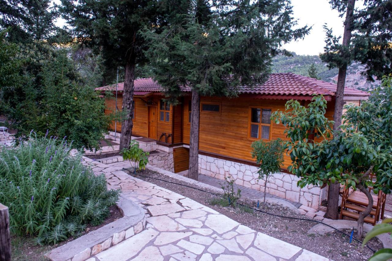 Trinitys Forest Bungalows Kemer Eksteriør billede