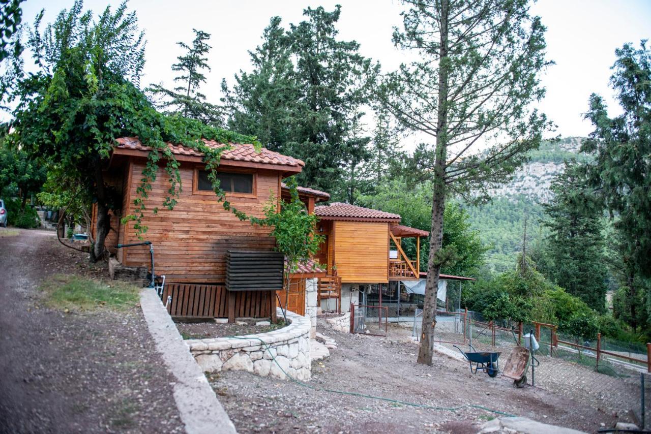 Trinitys Forest Bungalows Kemer Eksteriør billede