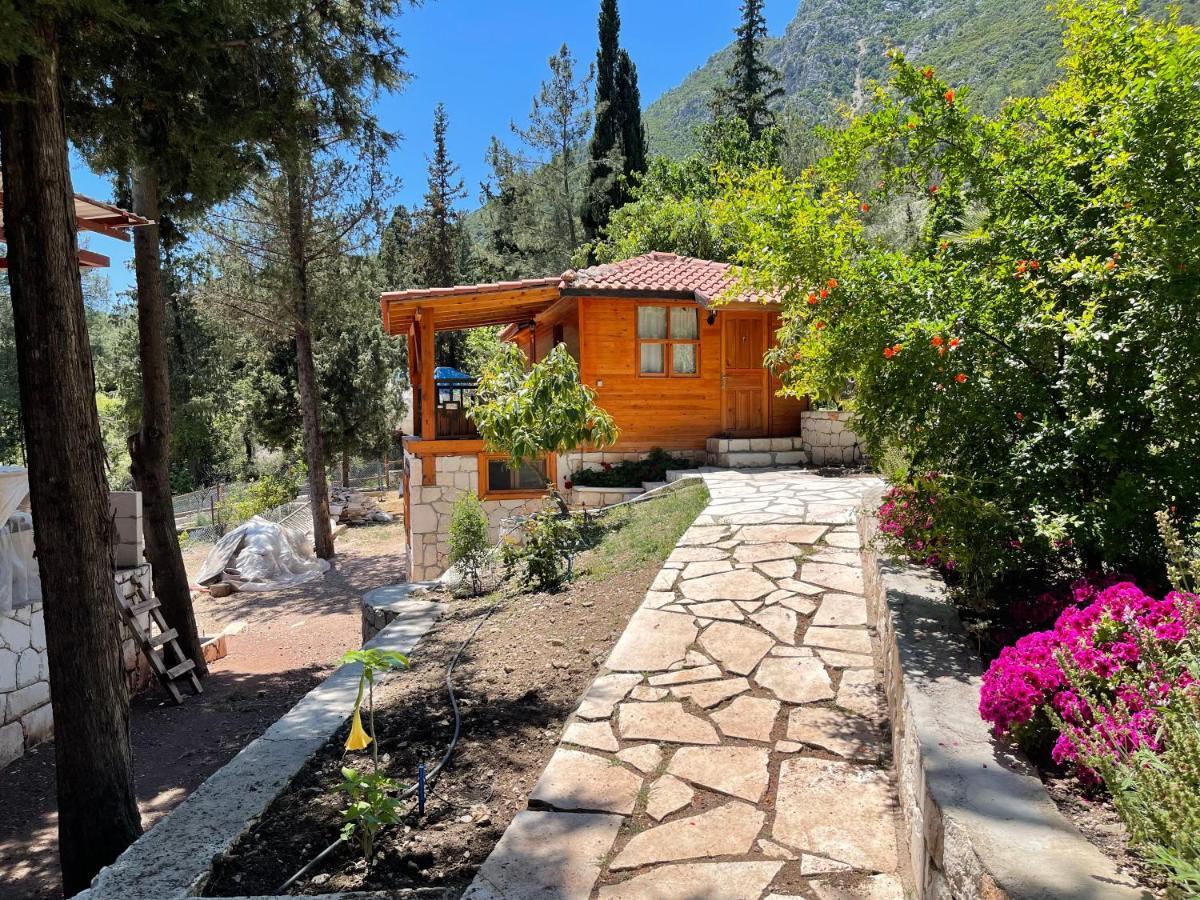 Trinitys Forest Bungalows Kemer Eksteriør billede