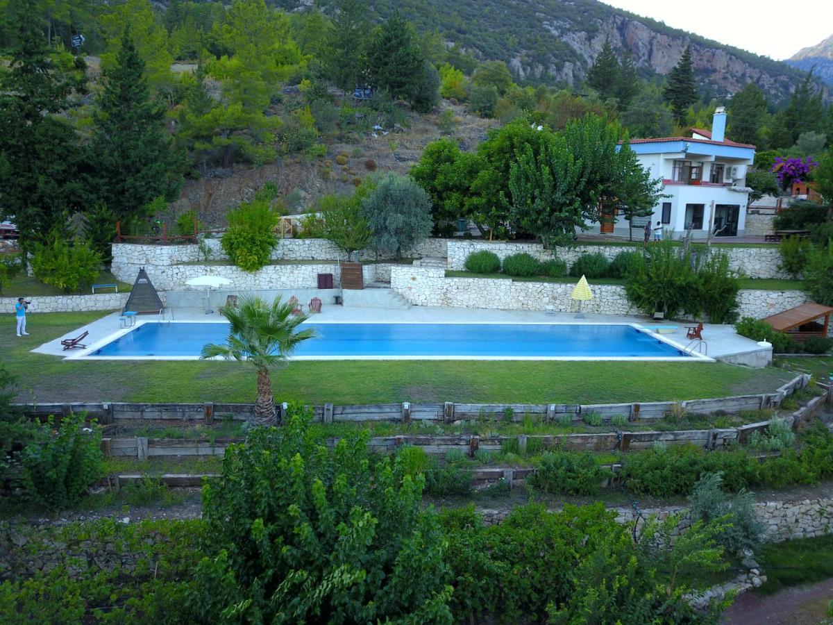 Trinitys Forest Bungalows Kemer Eksteriør billede