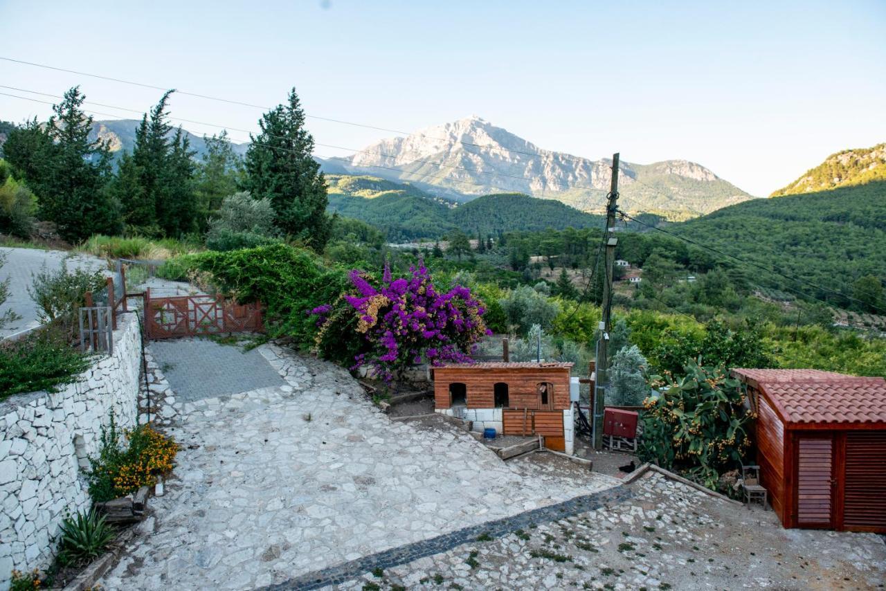 Trinitys Forest Bungalows Kemer Eksteriør billede