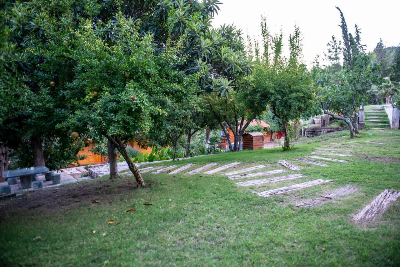 Trinitys Forest Bungalows Kemer Eksteriør billede