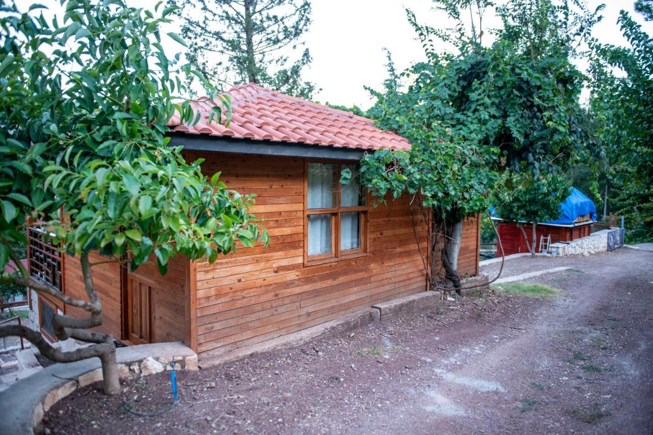 Trinitys Forest Bungalows Kemer Eksteriør billede