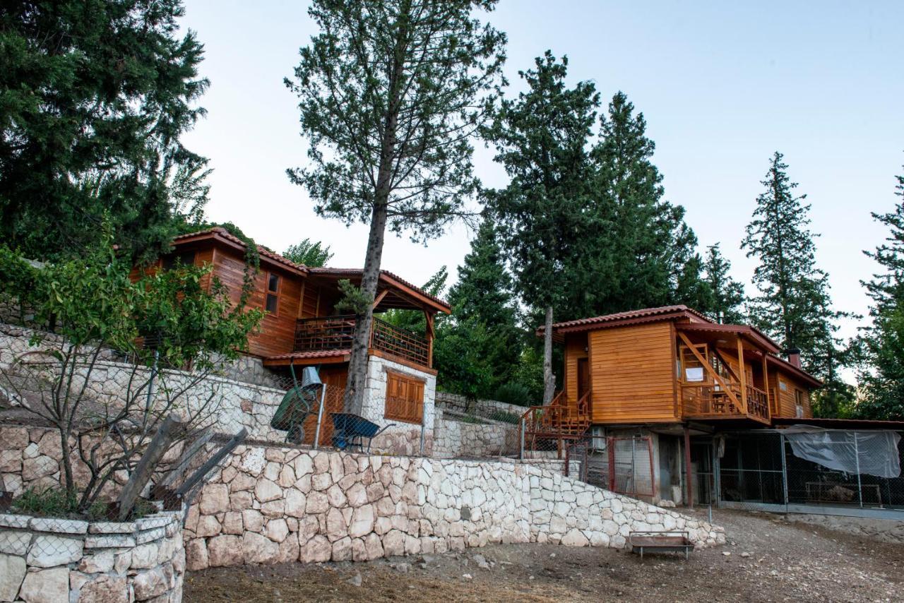 Trinitys Forest Bungalows Kemer Eksteriør billede