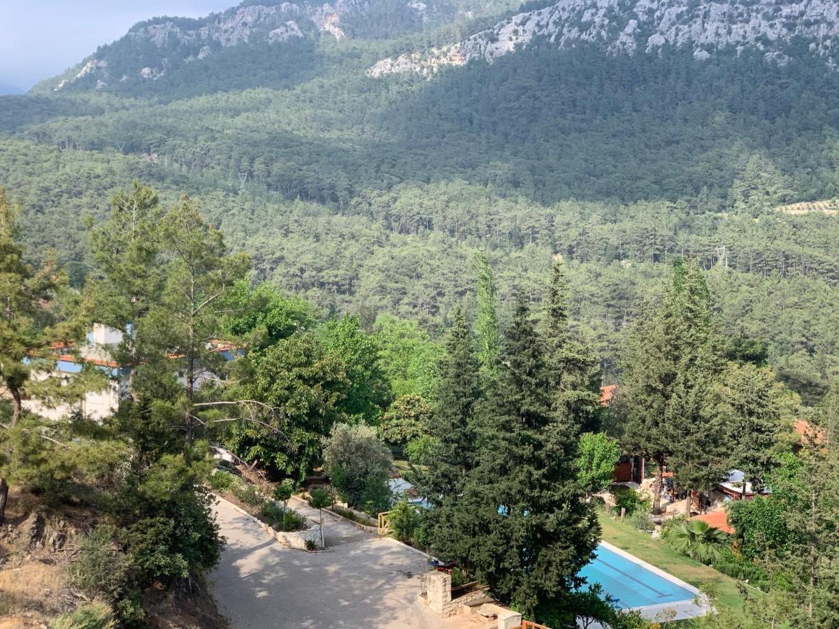 Trinitys Forest Bungalows Kemer Eksteriør billede