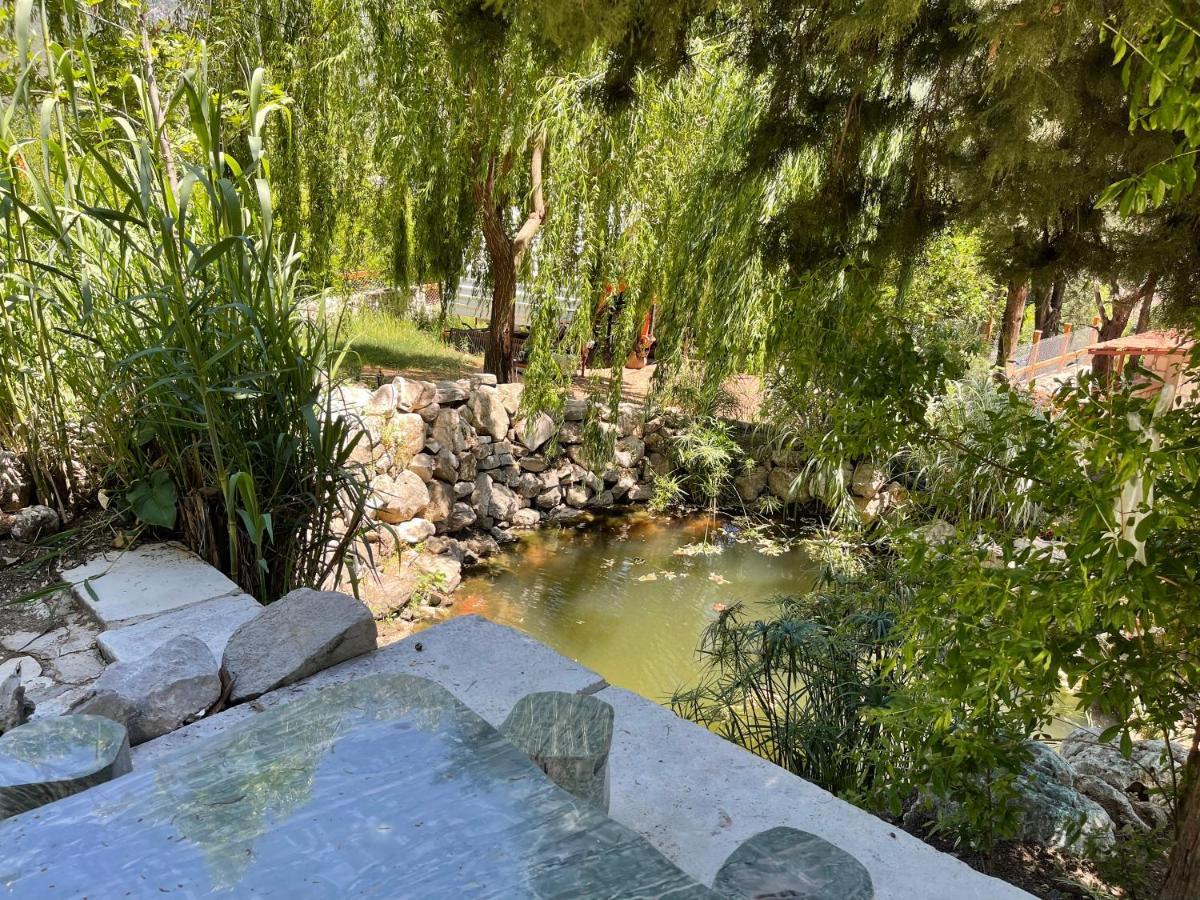 Trinitys Forest Bungalows Kemer Eksteriør billede