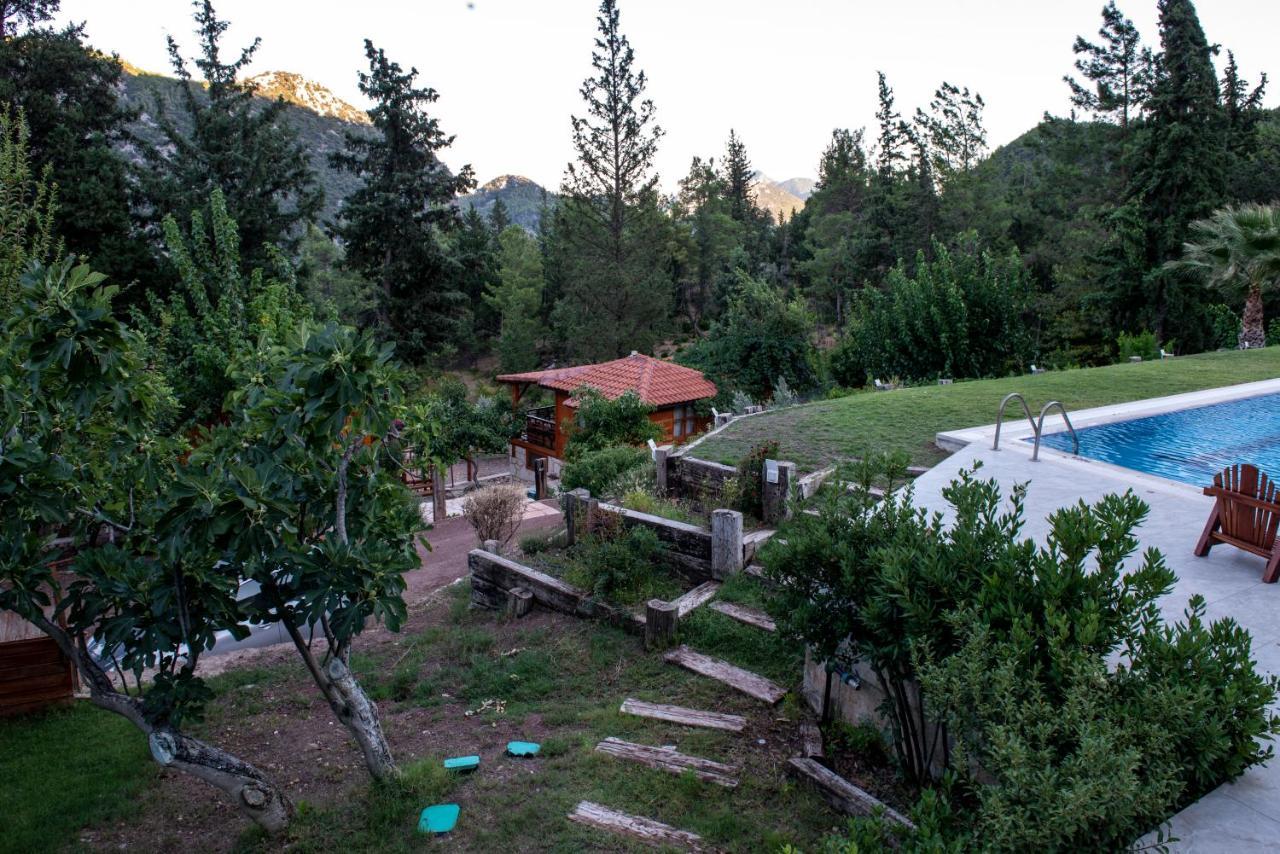 Trinitys Forest Bungalows Kemer Eksteriør billede