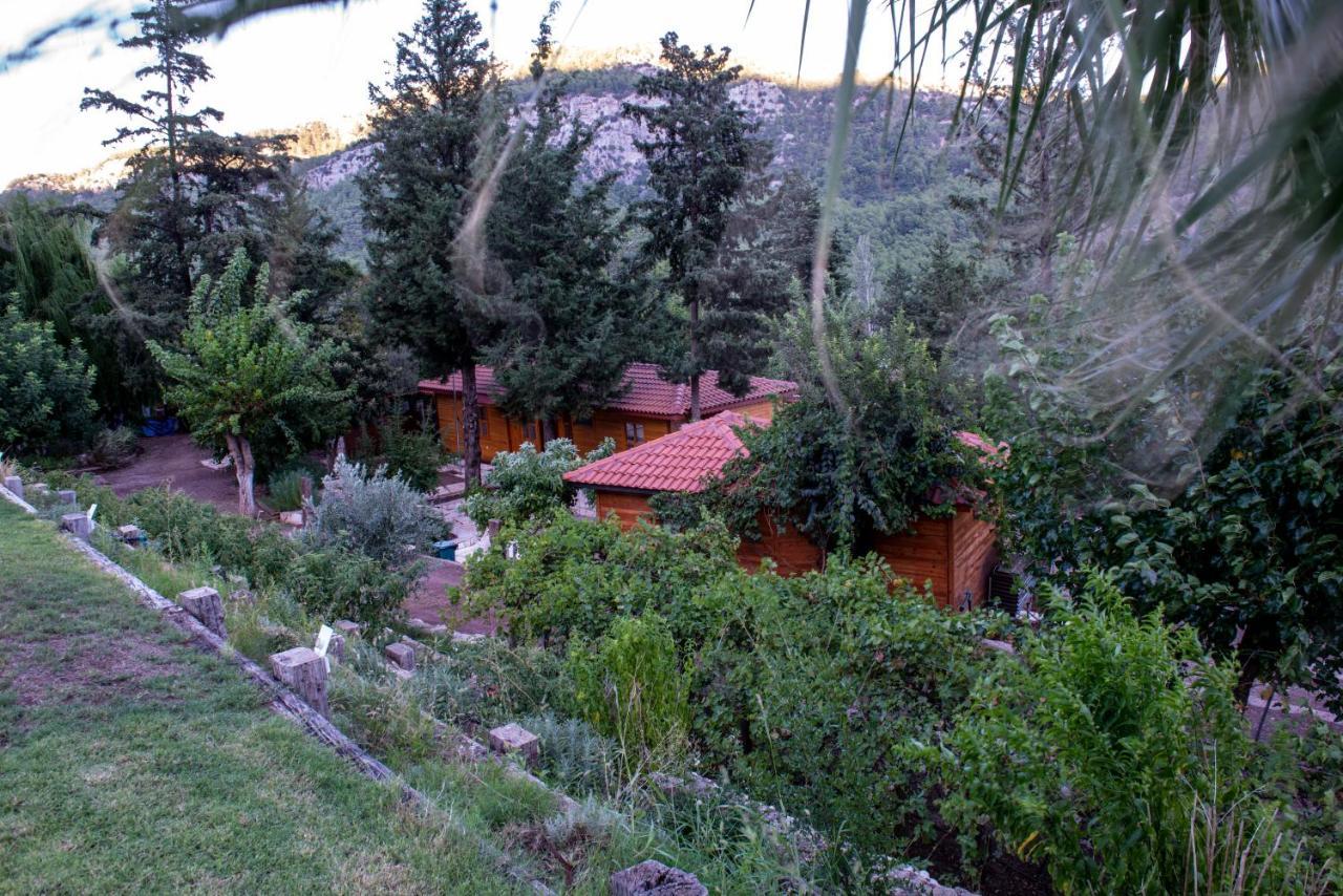 Trinitys Forest Bungalows Kemer Eksteriør billede