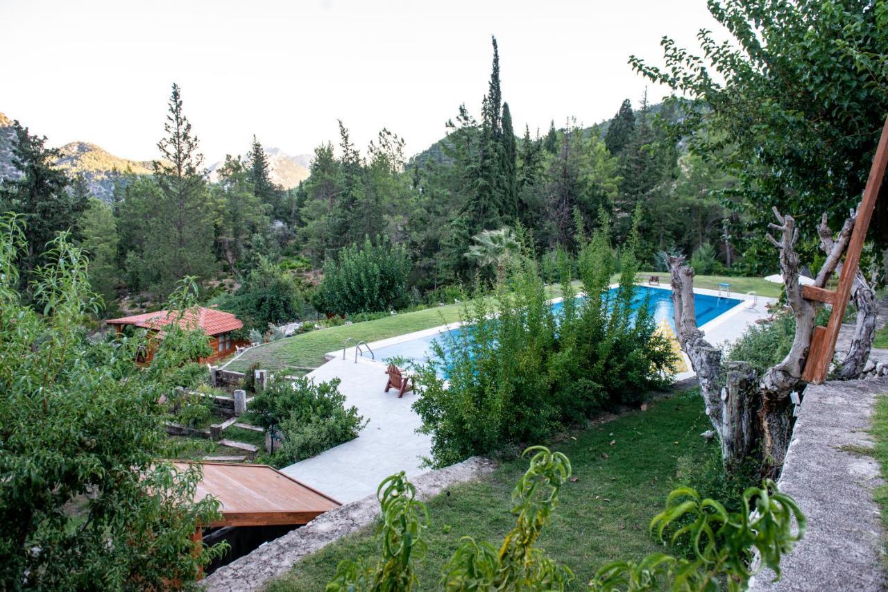 Trinitys Forest Bungalows Kemer Eksteriør billede