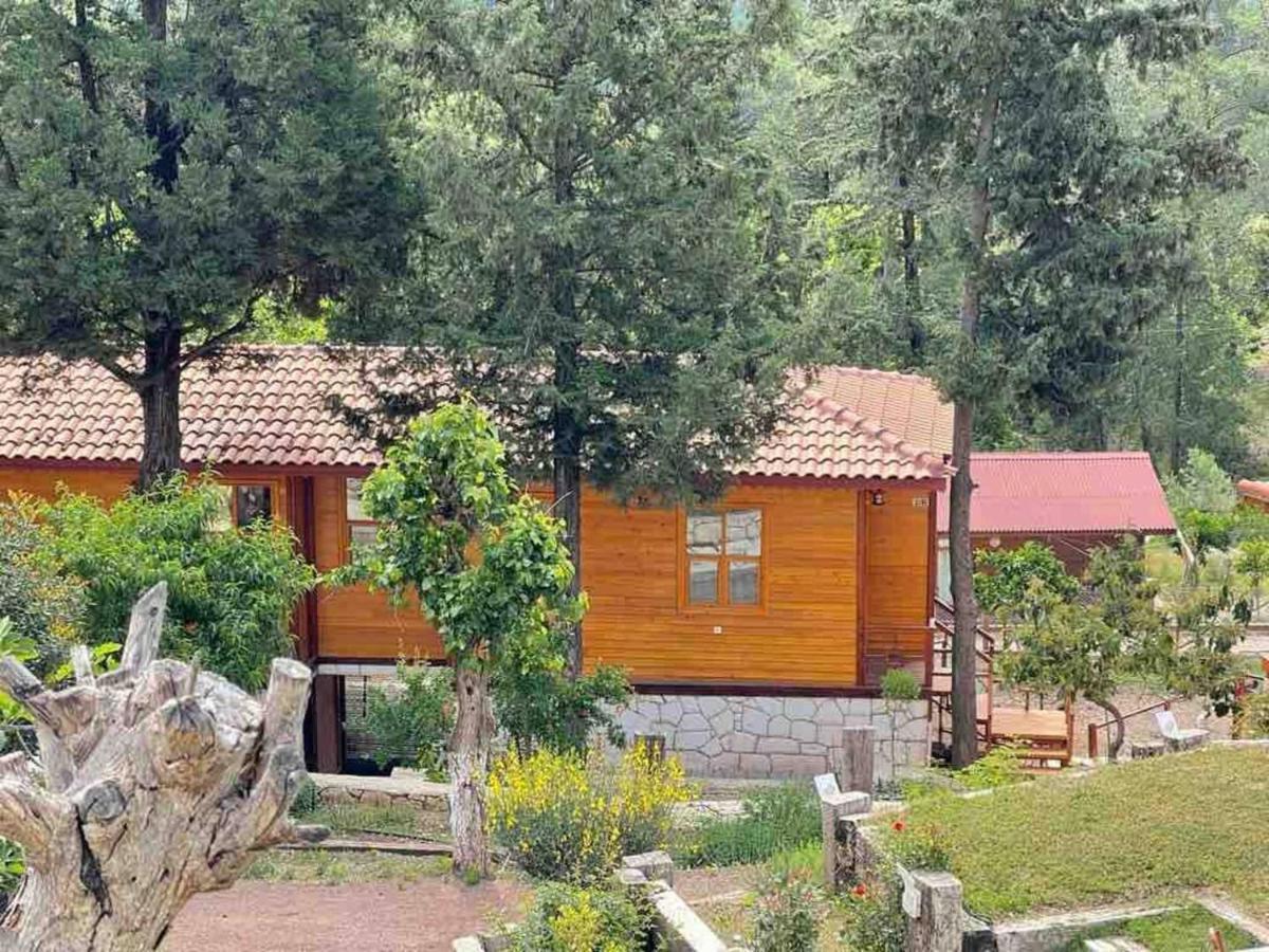 Trinitys Forest Bungalows Kemer Eksteriør billede
