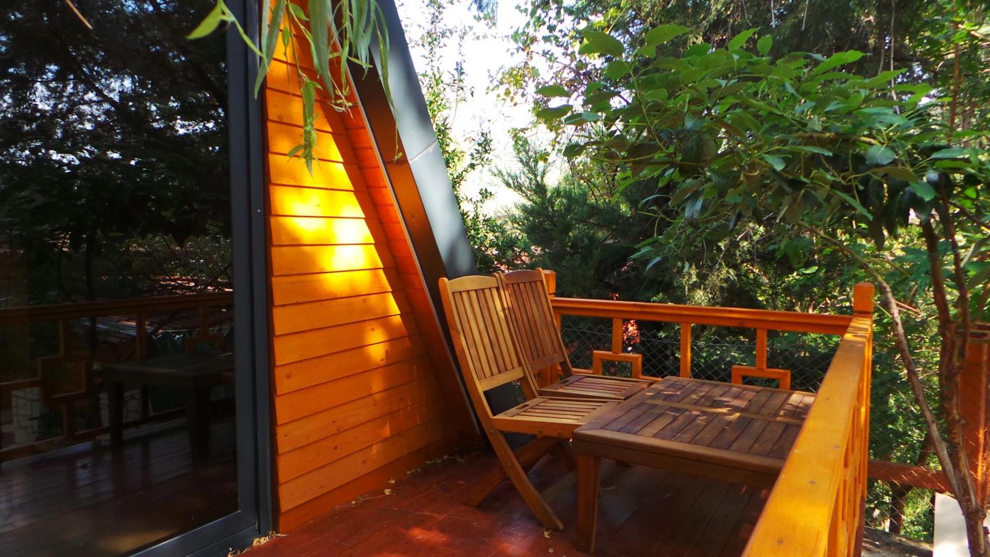 Trinitys Forest Bungalows Kemer Eksteriør billede