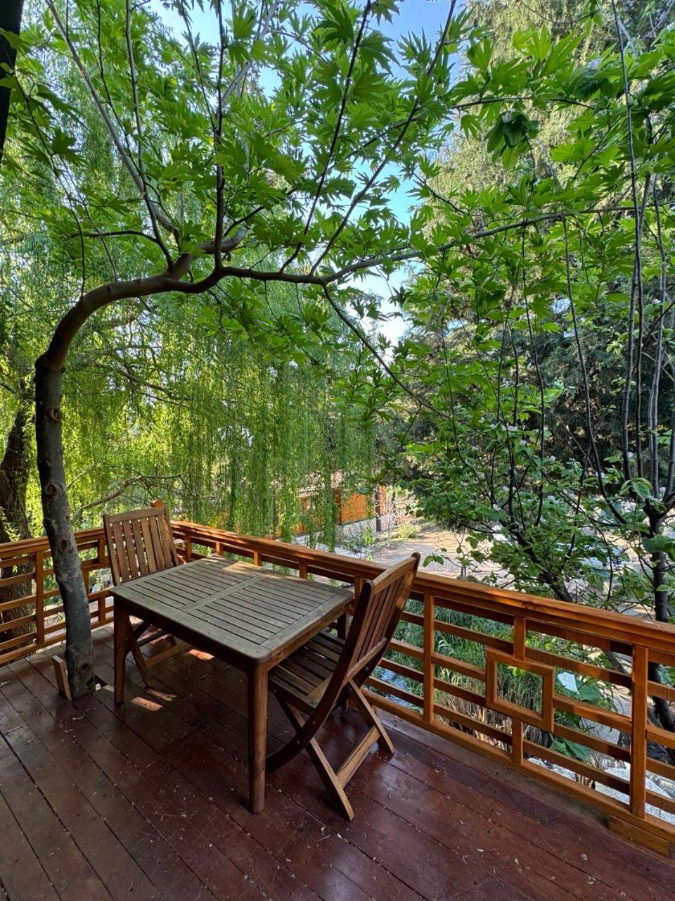 Trinitys Forest Bungalows Kemer Eksteriør billede